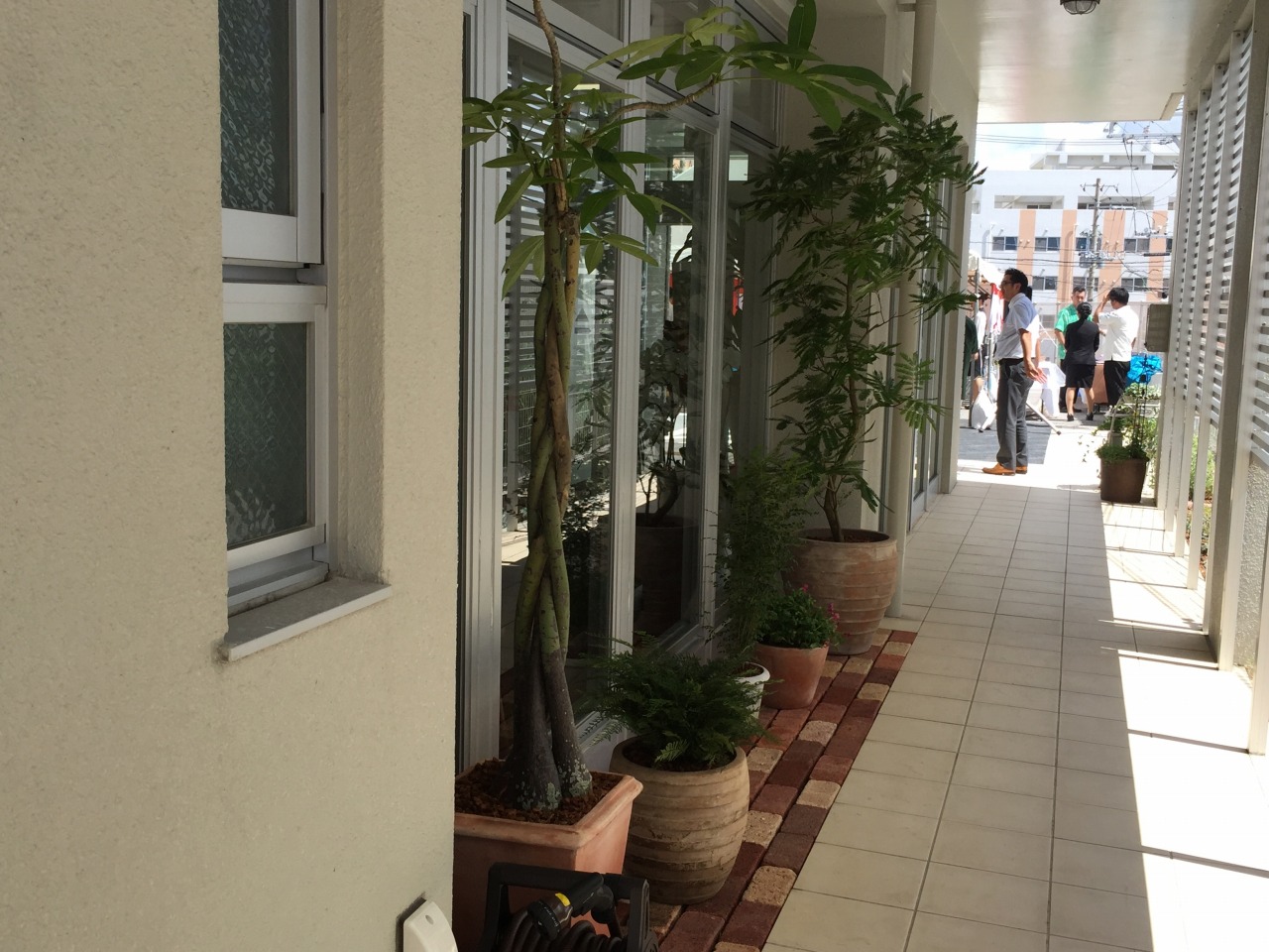 kishimoto_gekanairankai4